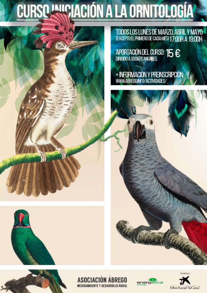 cartel-ornitologia-burgos